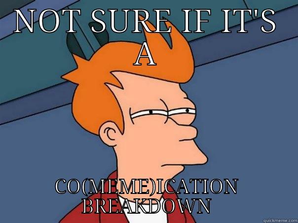 CO(MEME)ICATION BREAKDOWN BABY! - NOT SURE IF IT'S A CO(MEME)ICATION BREAKDOWN Futurama Fry