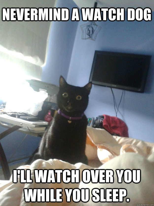 Nevermind a watch dog I'll watch over you while you sleep.  overly attached cat