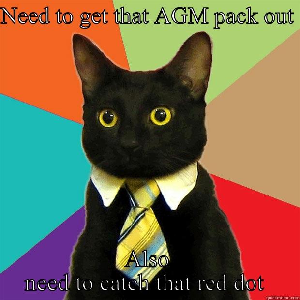 NEED TO GET THAT AGM PACK OUT  ALSO NEED TO CATCH THAT RED DOT  Business Cat