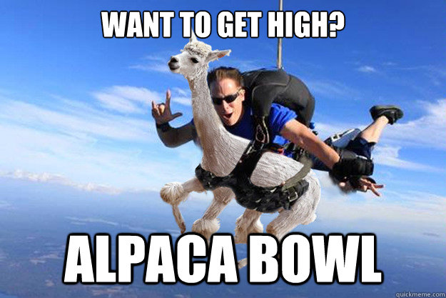 Want to get high? Alpaca bowl - Want to get high? Alpaca bowl  Misc