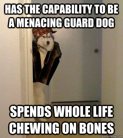 Has the capability to be a menacing guard dog Spends whole life chewing on bones  Scumbag dog