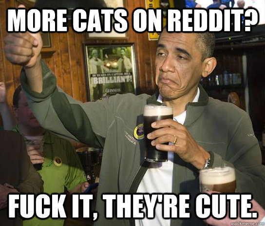 More cats on Reddit? Fuck it, they're cute.  Upvoting Obama