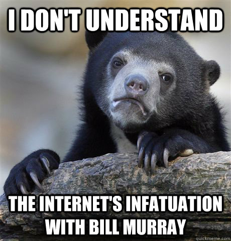 I don't understand  The internet's infatuation with Bill Murray - I don't understand  The internet's infatuation with Bill Murray  Confession Bear