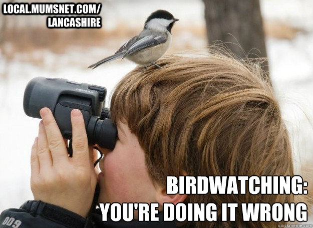  Birdwatching: 
You're doing it wrong local.mumsnet.com/lancashire -  Birdwatching: 
You're doing it wrong local.mumsnet.com/lancashire  Birdwatching