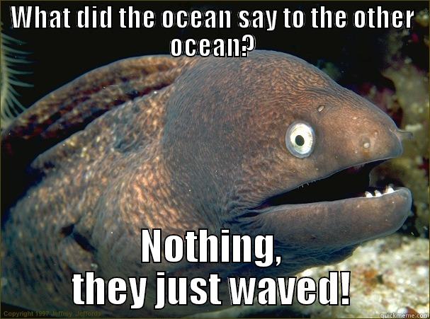 WHAT DID THE OCEAN SAY TO THE OTHER OCEAN? NOTHING, THEY JUST WAVED! Bad Joke Eel