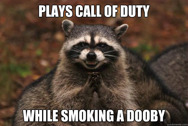 Plays Call of Duty While smoking a Dooby  Evil Plotting Raccoon