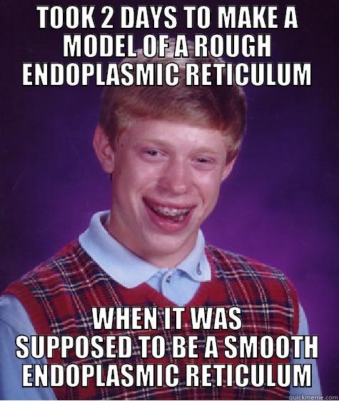 ENDOPLASMIC RETICULUM - TOOK 2 DAYS TO MAKE A MODEL OF A ROUGH ENDOPLASMIC RETICULUM WHEN IT WAS SUPPOSED TO BE A SMOOTH ENDOPLASMIC RETICULUM Bad Luck Brian