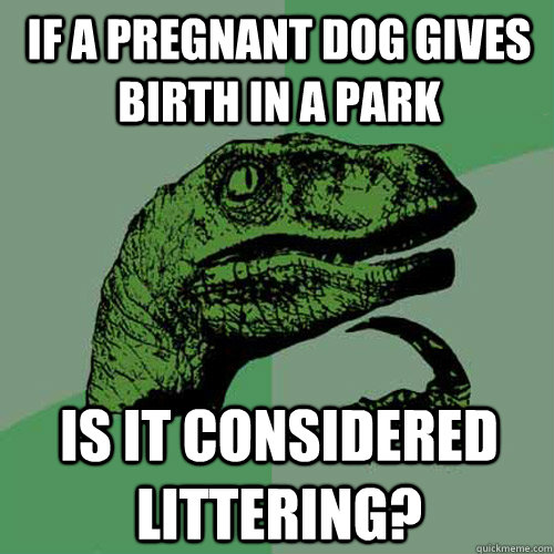 If a pregnant dog gives birth in a park Is it considered littering?  - If a pregnant dog gives birth in a park Is it considered littering?   Philosoraptor