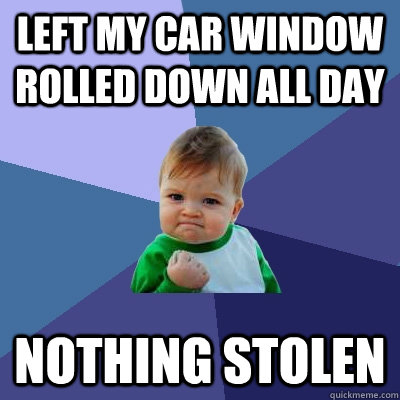 Left my car window rolled down all day Nothing stolen  Success Kid