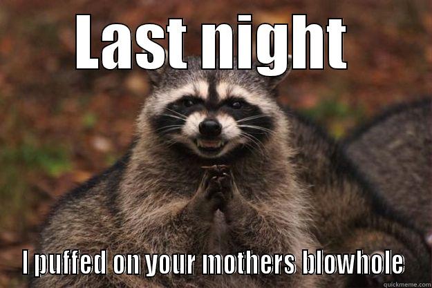 LAST NIGHT I PUFFED ON YOUR MOTHERS BLOWHOLE Evil Plotting Raccoon