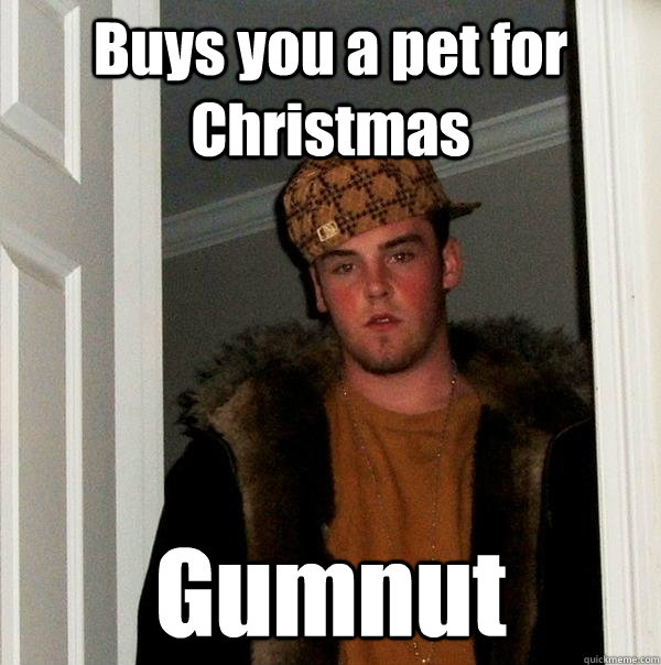 Buys you a pet for Christmas Gumnut - Buys you a pet for Christmas Gumnut  Scumbag Steve