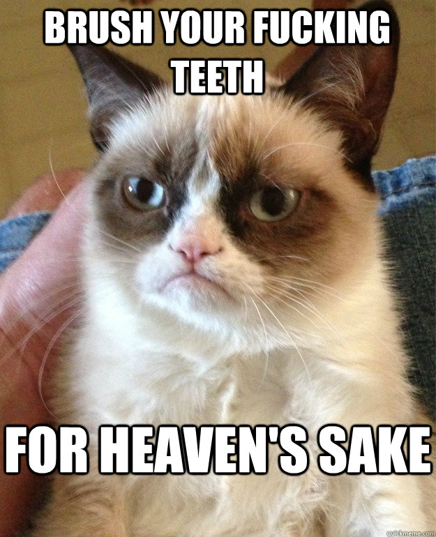 brush your fucking teeth for heaven's sake  Grumpy Cat