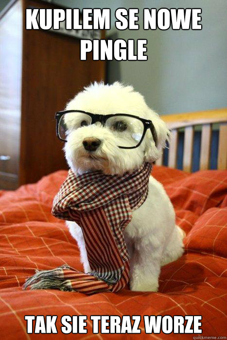 kupilem se nowe pingle tak sie teraz worze  Hipster Dog