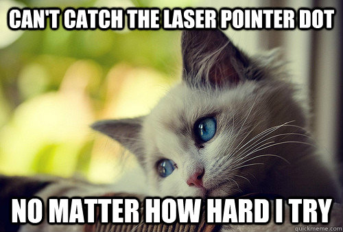 Can't catch the laser pointer dot no matter how hard i try - Can't catch the laser pointer dot no matter how hard i try  First World Problems Cat