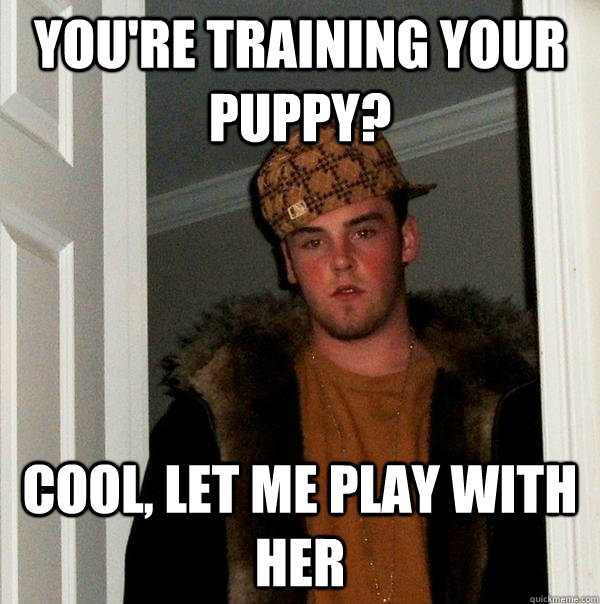 You're training your puppy? cool, let me play with her  Scumbag Steve