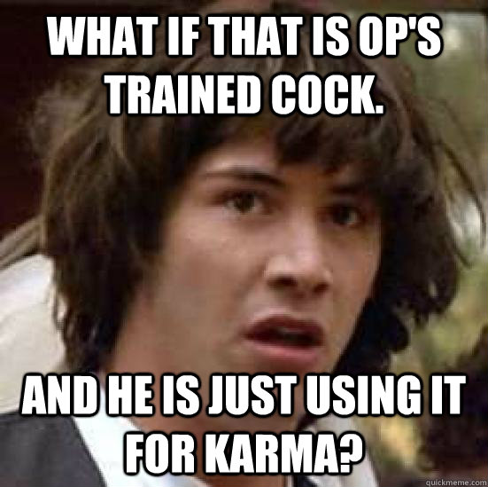 WHAT IF THAT IS OP'S TRAINED COCK. AND HE IS JUST USING IT FOR KARMA?  conspiracy keanu