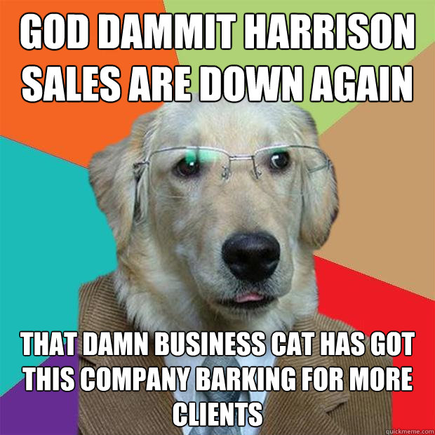 GOD DAMMIT HARRISON SALES ARE DOWN AGAIN  THAT DAMN BUSINESS CAT HAS GOT THIS COMPANY BARKING FOR MORE CLIENTS  Business Dog