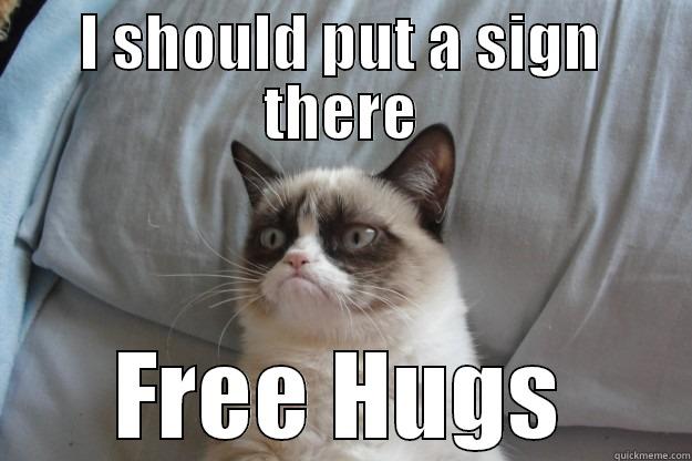 Free hugs - I SHOULD PUT A SIGN THERE FREE HUGS Grumpy Cat