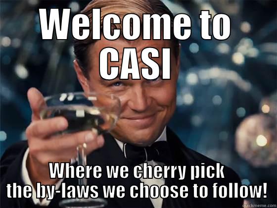 WELCOME TO CASI WHERE WE CHERRY PICK THE BY-LAWS WE CHOOSE TO FOLLOW! Misc