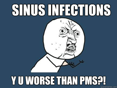 sinus infections y u worse than pms?! - sinus infections y u worse than pms?!  Y U No