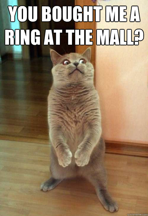 You bought me a ring at the mall?   Horrorcat