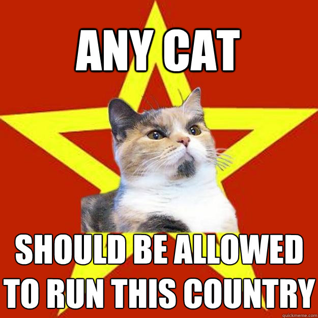 ANY CAT SHOULD BE ALLOWED TO RUN THIS COUNTRY - ANY CAT SHOULD BE ALLOWED TO RUN THIS COUNTRY  Lenin Cat