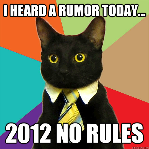 I heard a rumor today... 2012 NO RULES  Business Cat