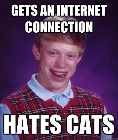 gets an internet connection hates cats   Bad Luck Brian