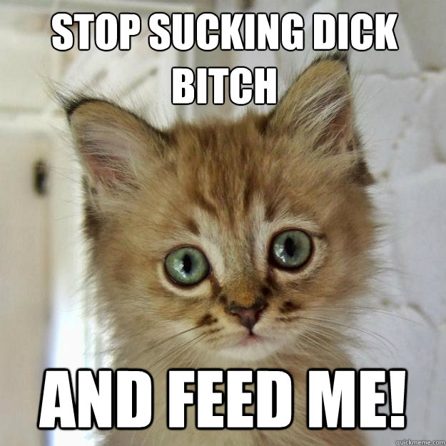 stop sucking dick bitch and feed me!  