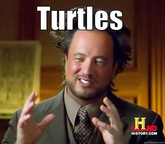 TURTLES  Ancient Aliens