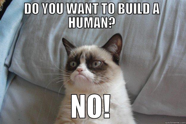 DO YOU WANT TO BUILD A HUMAN? NO! Grumpy Cat