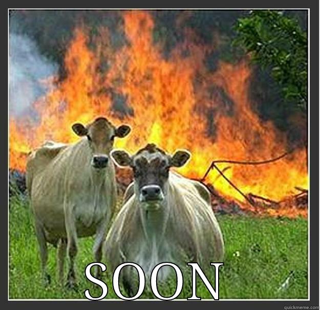  SOON Evil cows