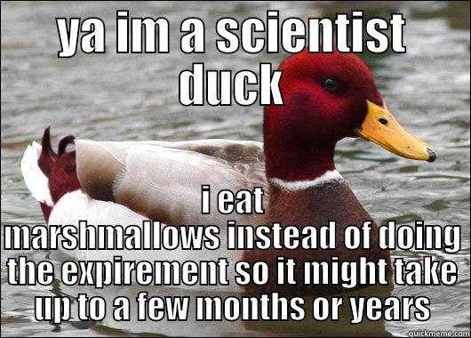 YA IM A SCIENTIST DUCK I EAT MARSHMALLOWS INSTEAD OF DOING THE EXPIREMENT SO IT MIGHT TAKE UP TO A FEW MONTHS OR YEARS Malicious Advice Mallard