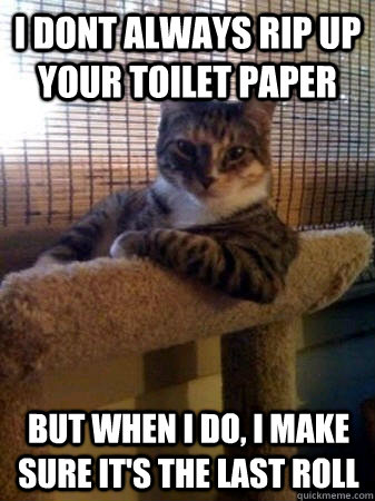 I dont always rip up your toilet paper but when I do, I make sure it's the last roll  The Most Interesting Cat in the World