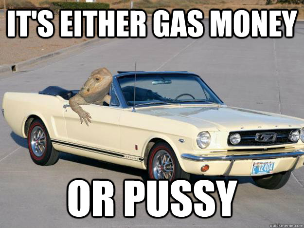 It's either gas money  or pussy   Pickup Dragon