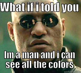 WHAT IF I TOLD YOU  IM A MAN AND I CAN SEE ALL THE COLORS Matrix Morpheus