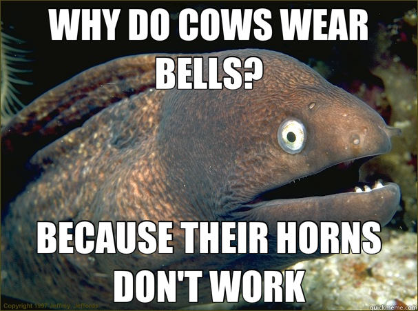 WHY DO COWS WEAR BELLS? BECAUSE THEIR HORNS DON'T WORK  Bad Joke Eel