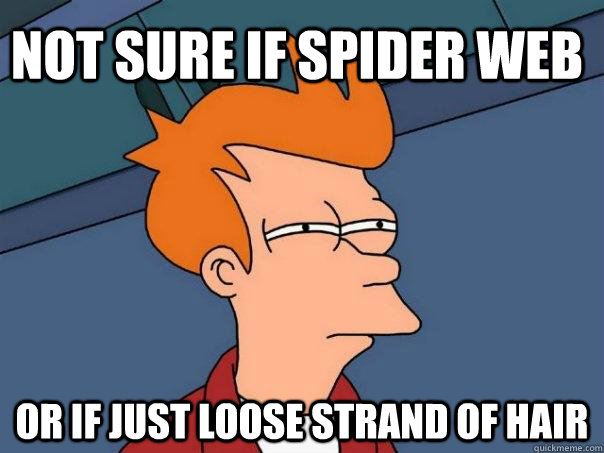 Not sure if spider web or if just loose strand of hair - Not sure if spider web or if just loose strand of hair  Futurama Fry