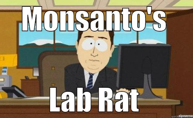 MONSANTO'S LAB RAT aaaand its gone