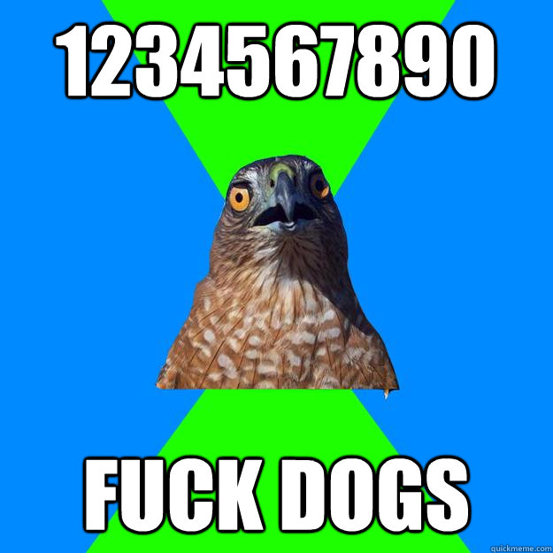 1234567890 FUCK DOGS   Hawkward