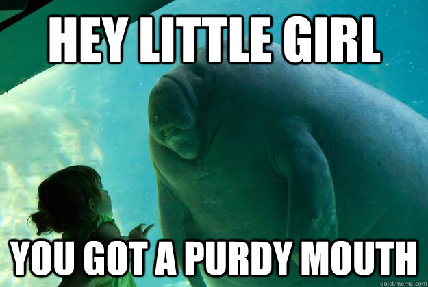 hey little girl you got a purdy mouth  Overlord Manatee