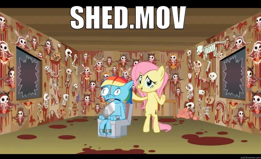 SHED MOV LOL - SHED.MOV  Misc