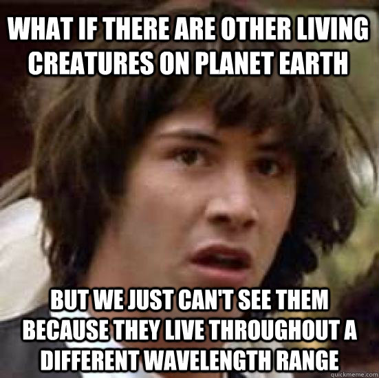 What if there are other living creatures on planet earth but we just can't see them because they live throughout a different wavelength range  conspiracy keanu