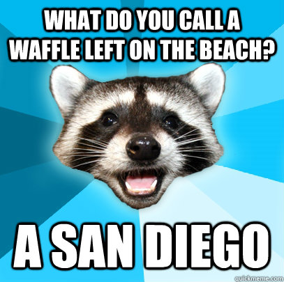 What do you call a waffle left on the beach? A San Diego - What do you call a waffle left on the beach? A San Diego  Lame Pun Coon