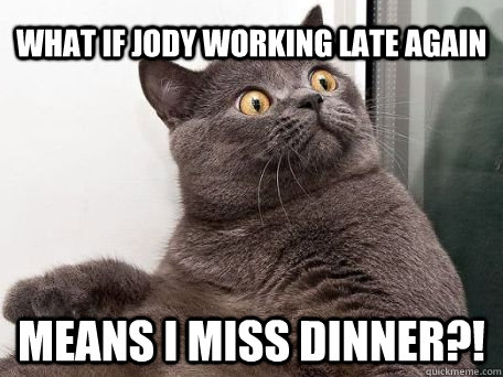 What if Jody working late again means I miss dinner?!  conspiracy cat