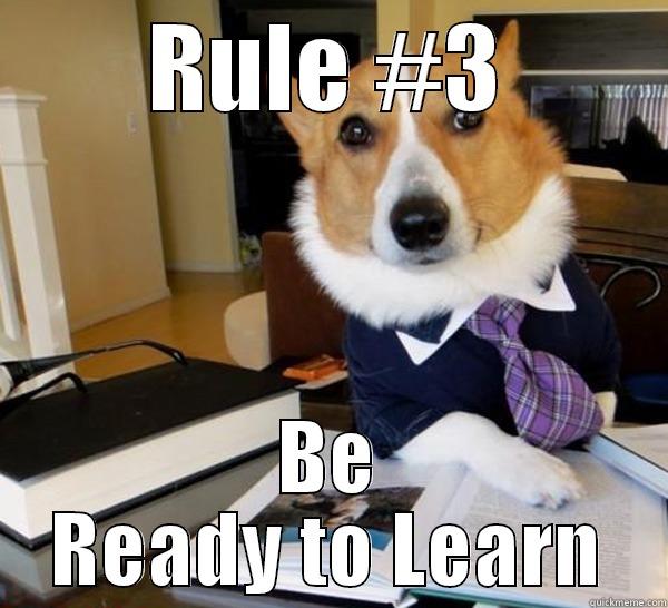 Rule #3 - RULE #3 BE READY TO LEARN Lawyer Dog