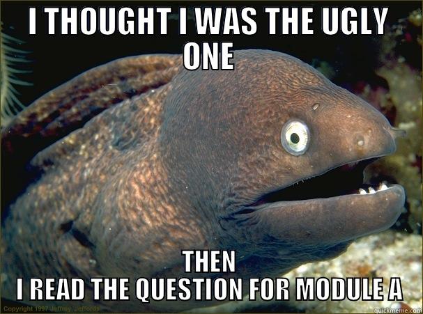 I THOUGHT I WAS THE UGLY ONE THEN I READ THE QUESTION FOR MODULE A Bad Joke Eel