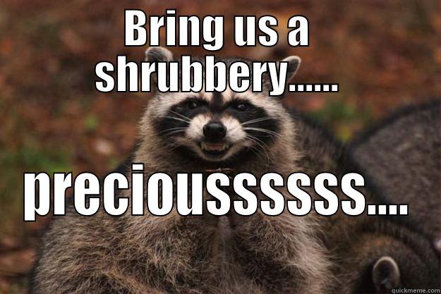 BRING US A SHRUBBERY...... PRECIOUSSSSSS.... Evil Plotting Raccoon