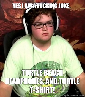 Yes i am a fucking joke. Turtle beach headphones, and turtle t-shirt! - Yes i am a fucking joke. Turtle beach headphones, and turtle t-shirt!  Meme