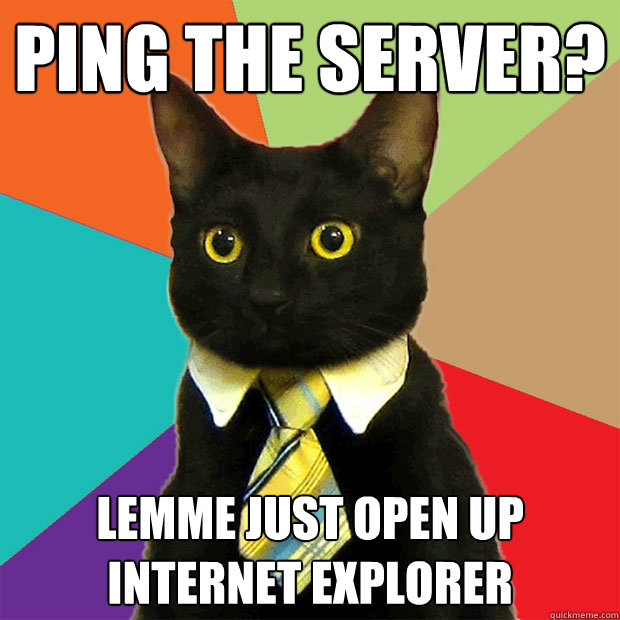 Ping the server? Lemme just open up Internet Explorer  Business Cat